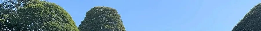 レース切替 ハイウエスト ケーキワンピース 生成り