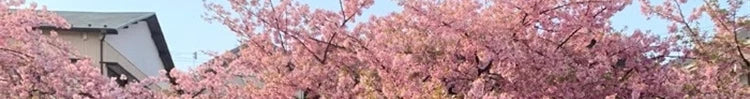 フレンチヴィンテージ ハイウエストAラインミニワンピース