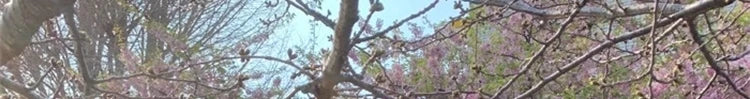 フレンチヴィンテージ ハイウエストAラインミニワンピース